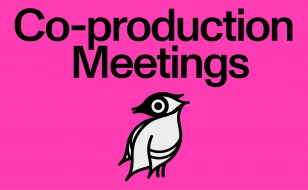 PPD2026 Events Coproduction Meetings