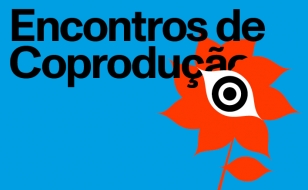 PPD25 Website Encontros de Coproducao