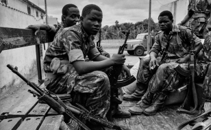 PPD25 Website Industry Screenings 02