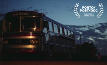 PPD20 News Palmares